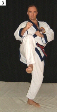 Tang Soo Do World